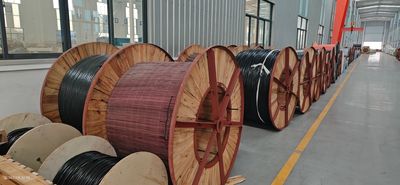 Shandong Jinyu Cable Co., Ltd. निर्माता उत्पादन लाइन